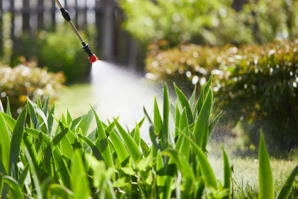 24/7 Emergency Mosquito Control experts in Pantego, TX