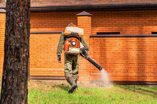 Top rated local Mosquito Control specialists in Pantego, TX